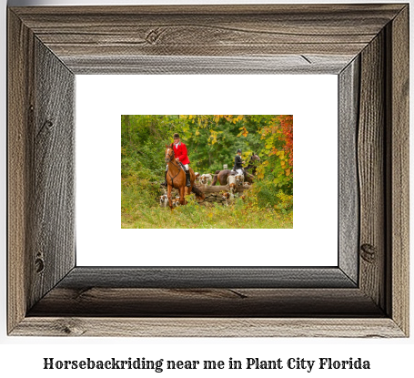 horseback riding near me in Plant City, Florida